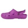 Dux Duflex Unisex - Clogs - Violett Brombeer 2 Dux Duflex Unisex - Clogs - Violett Brombeer -Verfijnd Schoen Winkel cd8b8516727e4e9ebe13e6298f285ef4